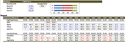 TQ Assessment analyze page